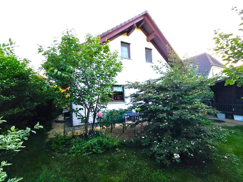 Gartenseite Haus