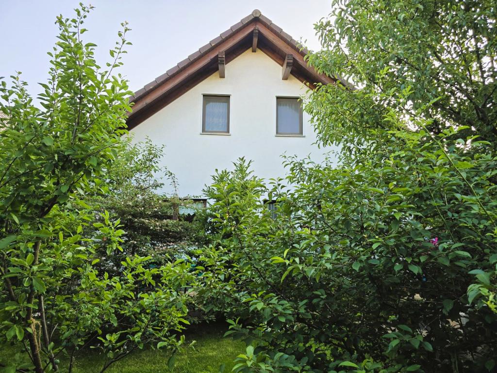 Gartenseite Haus