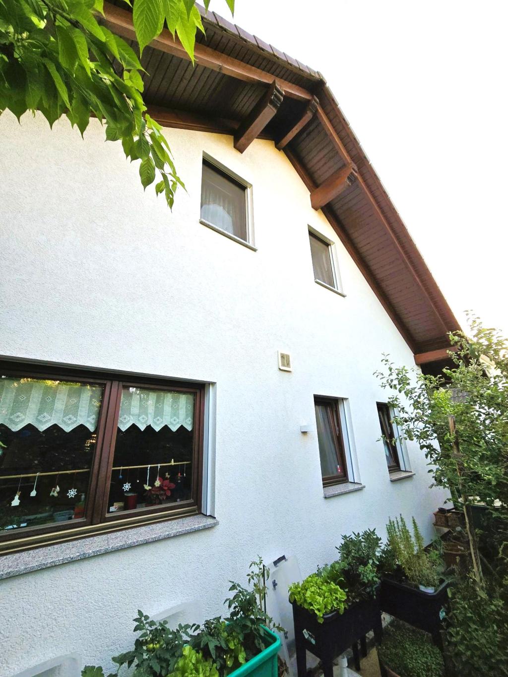 Fassade, Dachüberstand