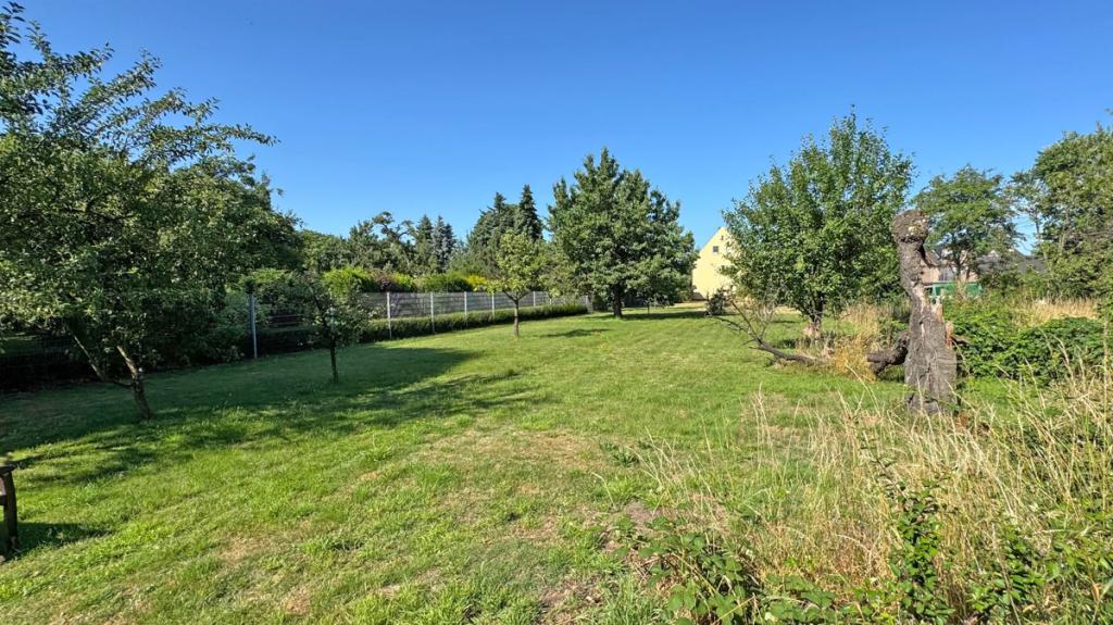 Gartenfläche