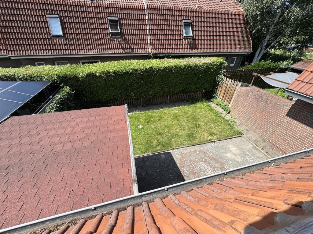 Blick in den Garten