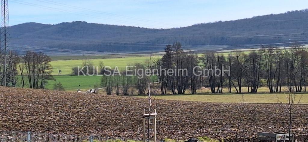 Ausblick