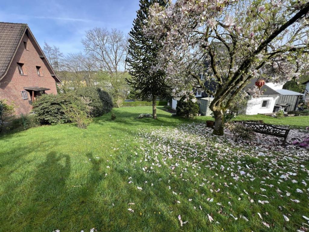 Blickrichtung Straße