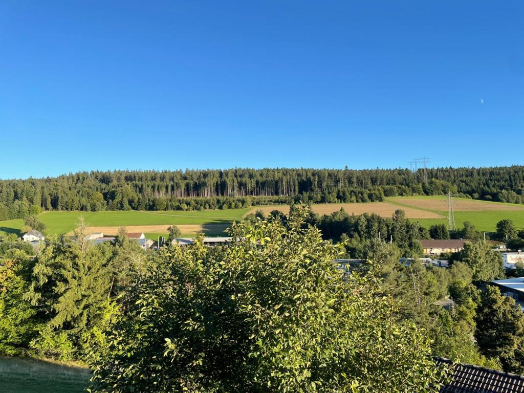 Sonnenbalkon: Weiter Blick über Wiesen und Wälder unter klarem Himmel