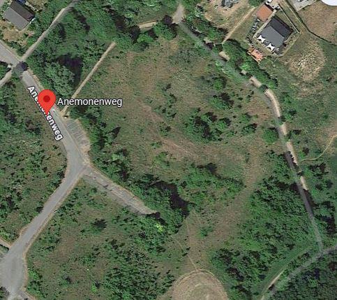 Anemonenweg