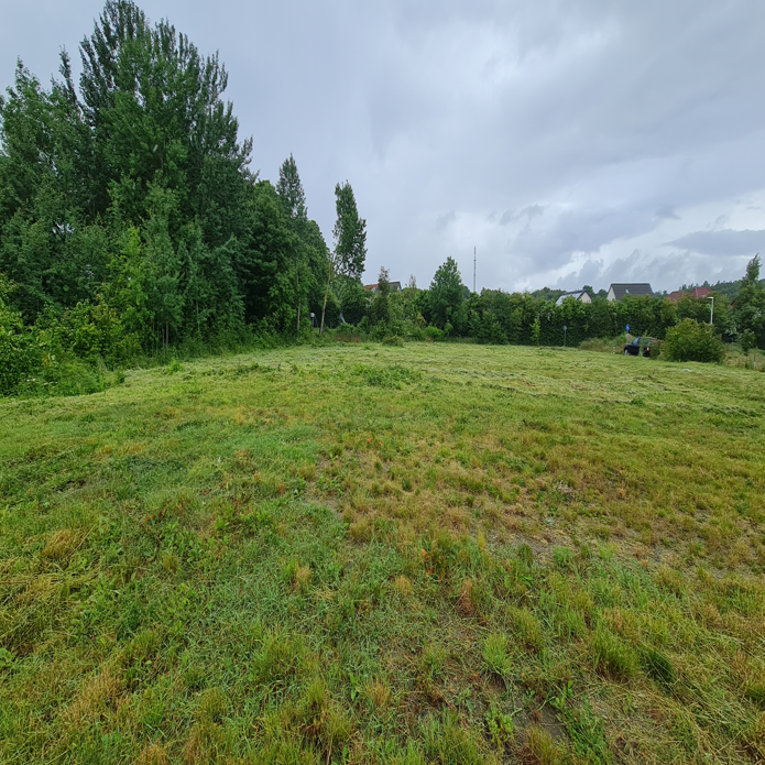 8 25 Grd Sassnitz 08