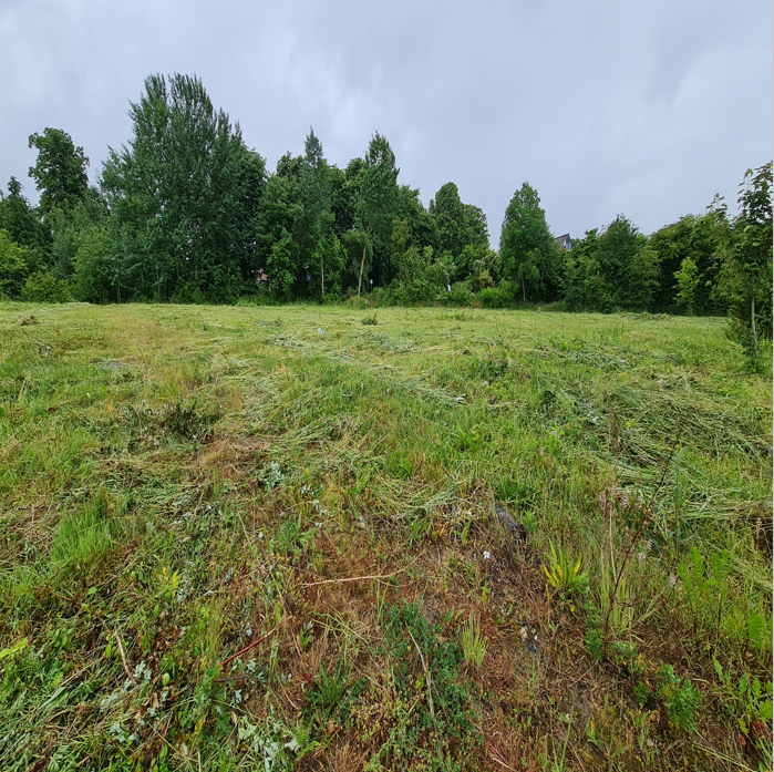 8 25 Grd Sassnitz 03