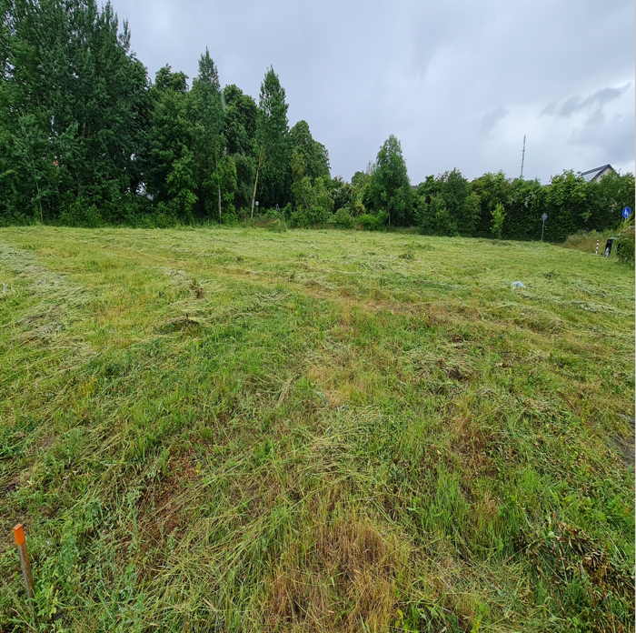 8 25 Grd Sassnitz 07