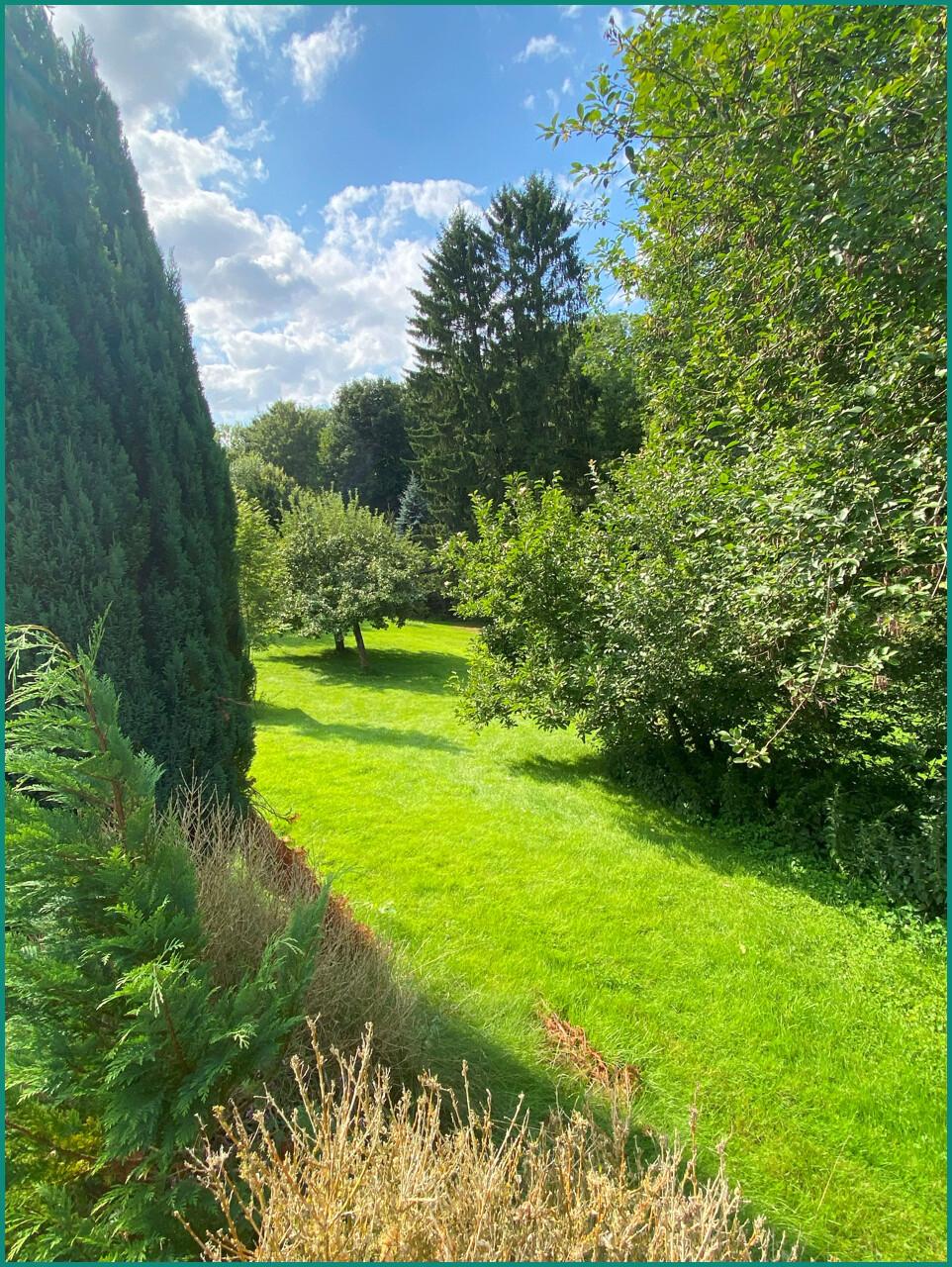 Baum- und Strauchbestand: Idylle wie im Urlaub