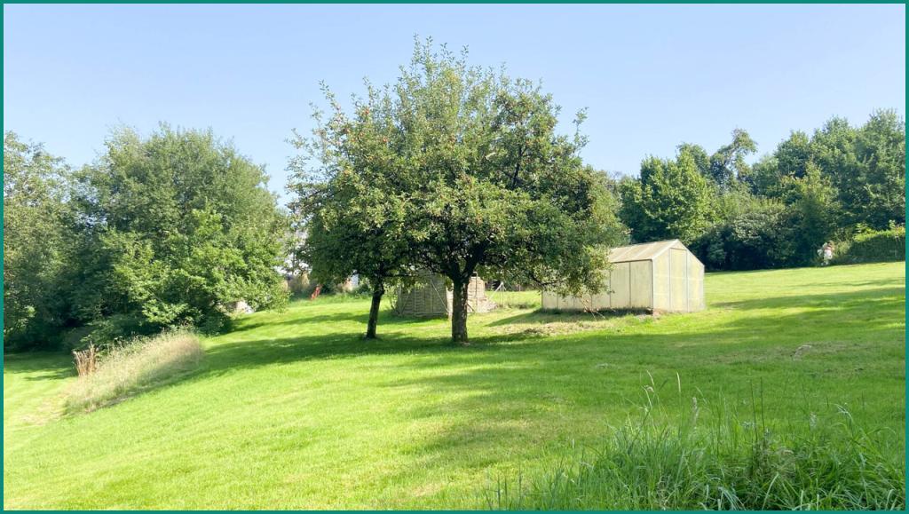 ...Gewächshaus