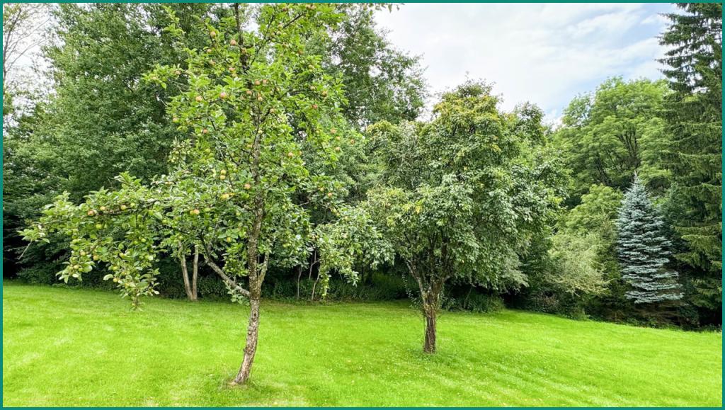 Im Garten gibt es mehrere Obstbäume
