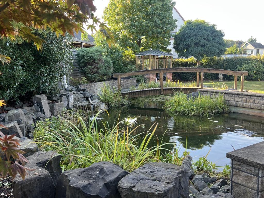 Friedlicher Gartenteich