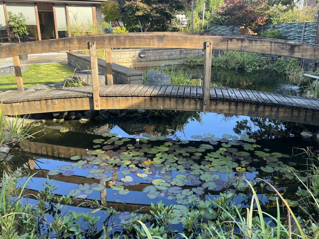 Brücke & Seerosen