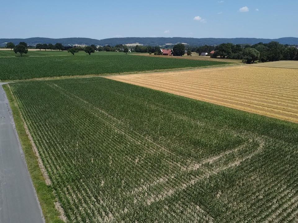 Luftbild