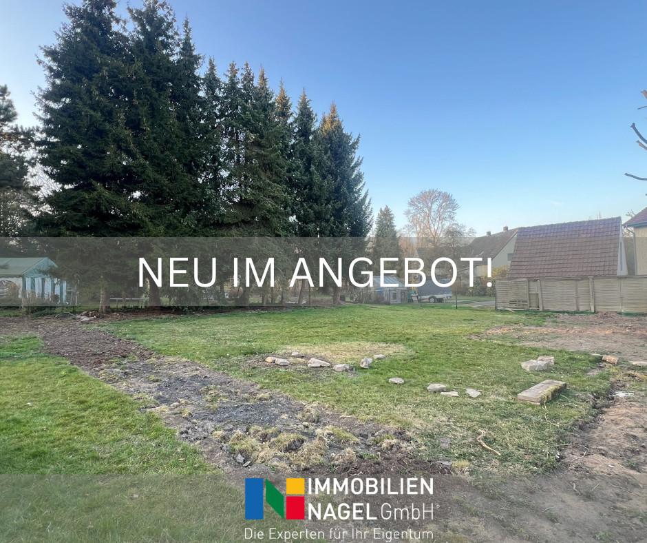 Neu im Angebot
