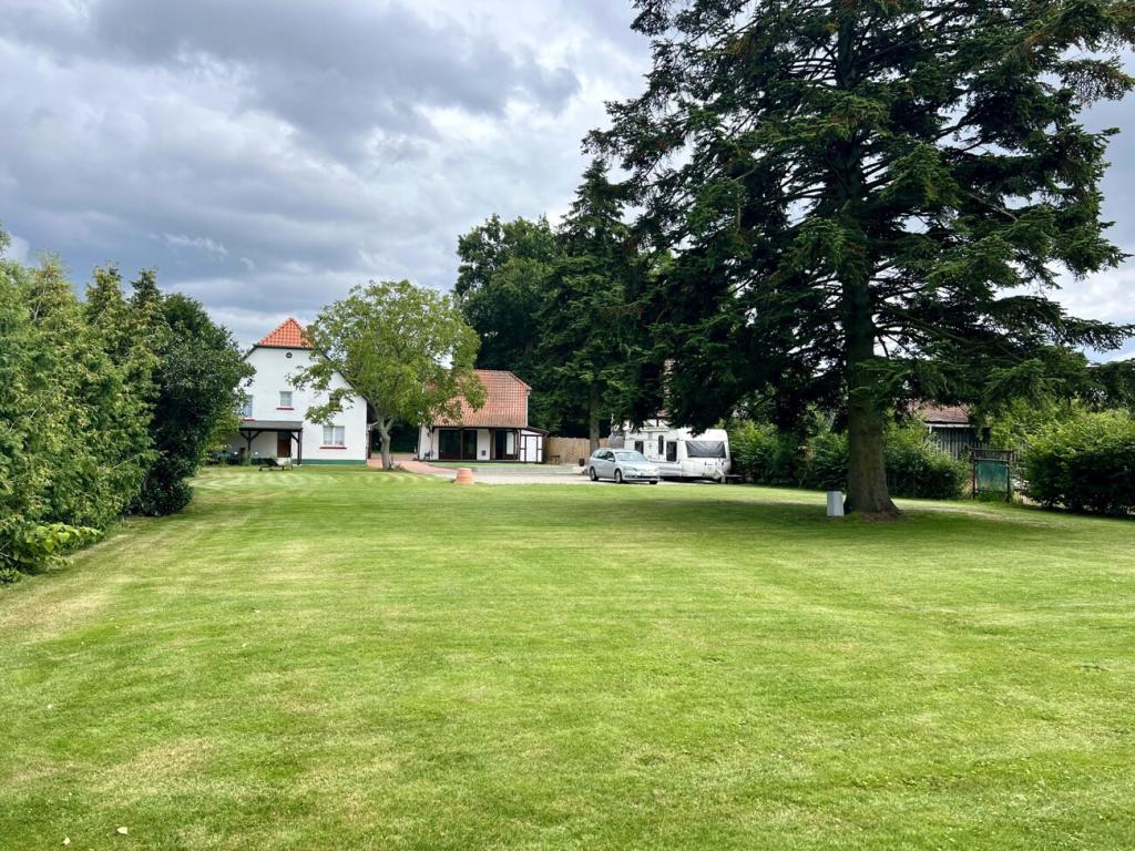 weitläufiger Garten