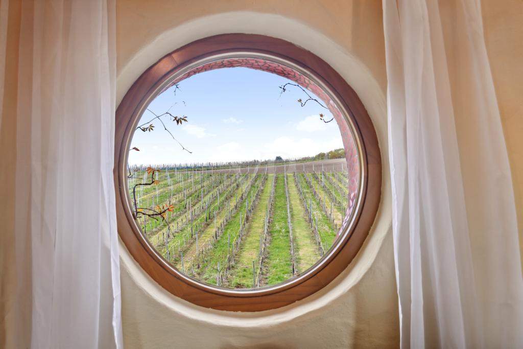 Ausblick in Ihre Zukunft