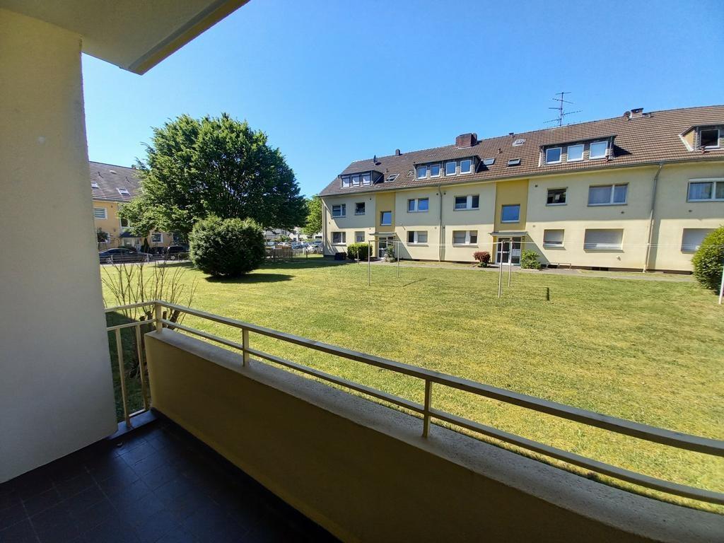 Aussicht Balkon in den Gemeinschaftsgarten