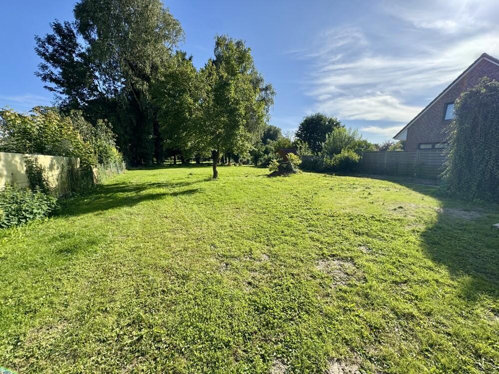 Blick von der Straßenseite