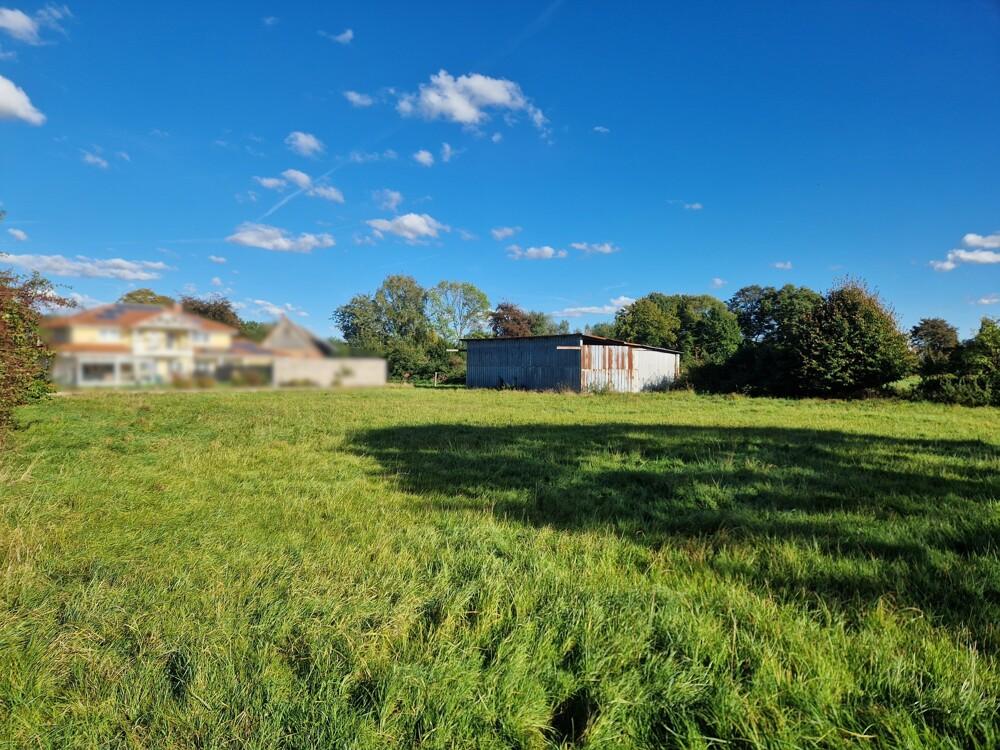 Blick von der Zufahrt