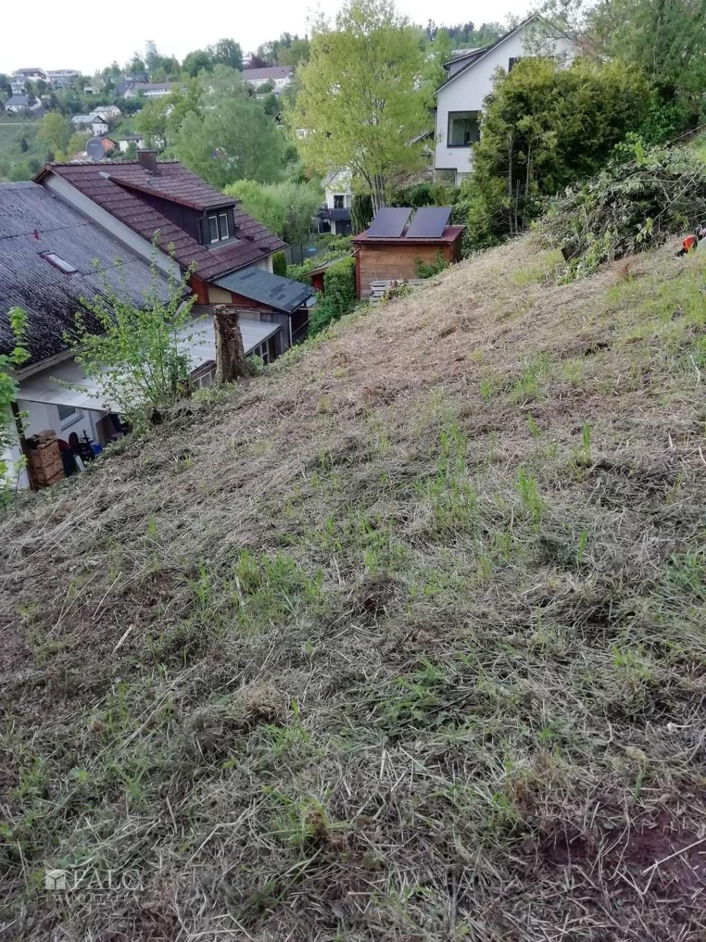 Foto aus April 2025