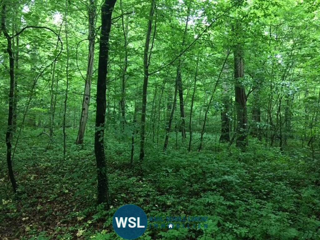 angrenzender Wald