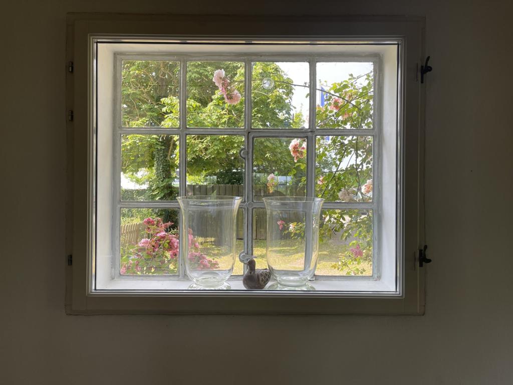 WE3 Fenster