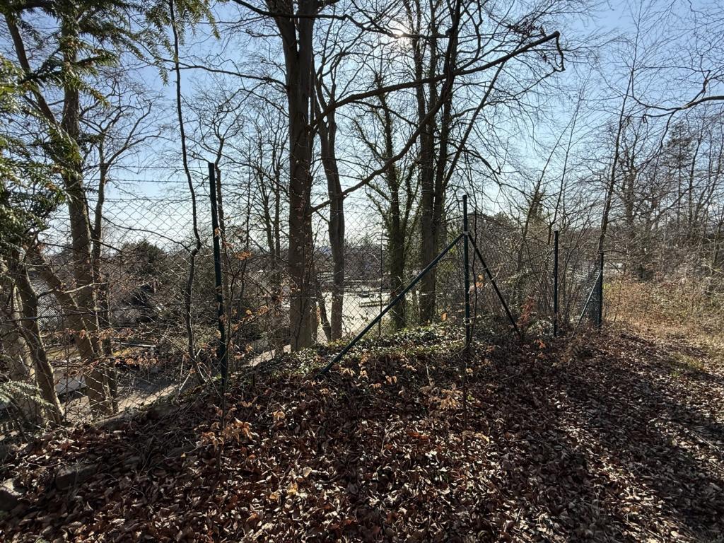 Wald