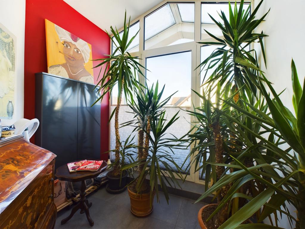 große Fensterflächen