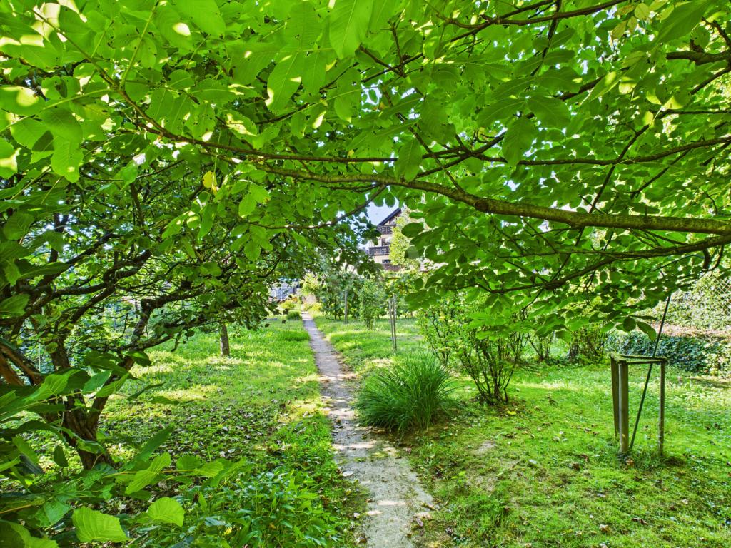 grüne Blickachsen