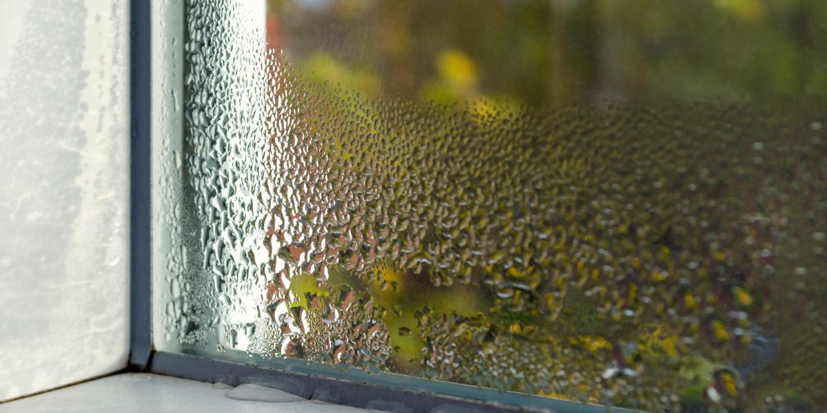 Fensterheizung hilft gegen Feuchtigkeit und Schimmelbildung