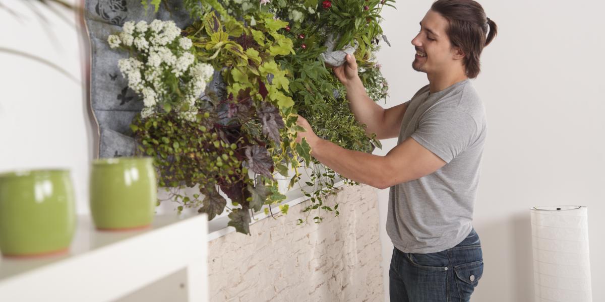 32+ Indoor Garten Kaufen, Die click and grow produkte von klarstein