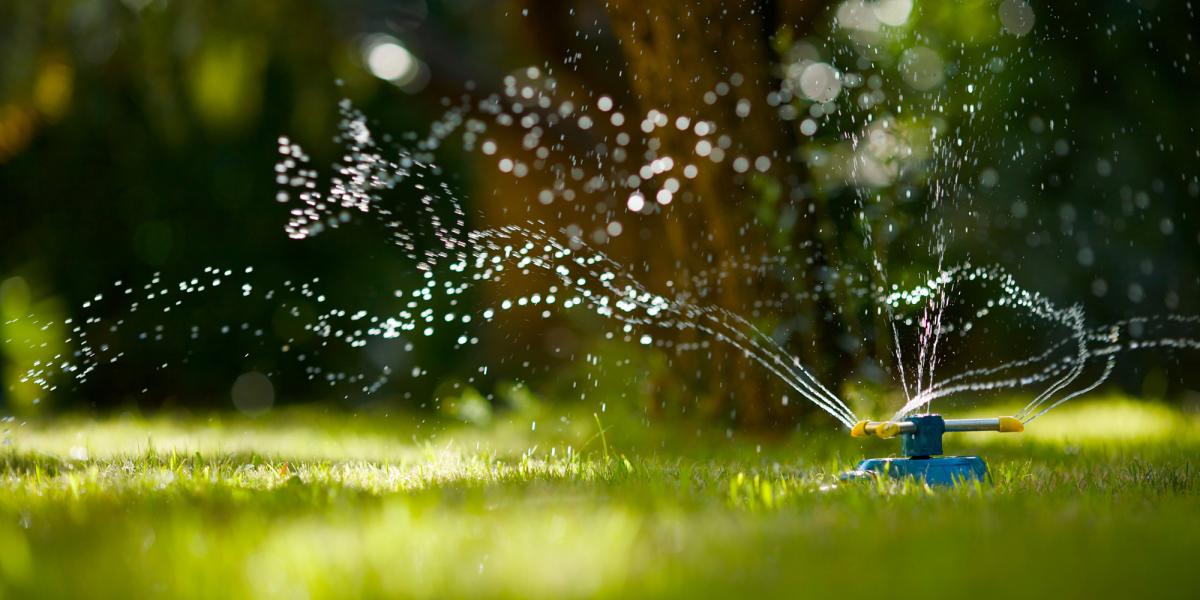 Rasen bewässern Wie viel Wasser braucht Rasen?